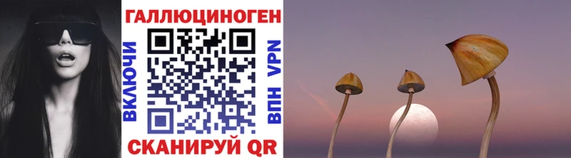 Псилоцибиновые грибы Psilocybine cubensis  kraken сайт  Калининск  где найти наркотики 
